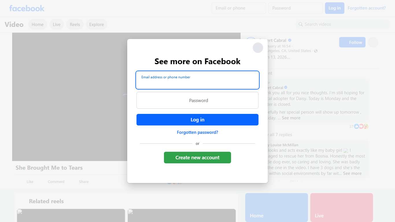 Adopted Jan 13, 2026 This girl brought me to tears. Some just hit you harder the others. My good friend Cori told me about Daisy,… A beautiful malinois that came in as a stray. Everyone loves this dog… She’s the sweetest malinois i’ve ever seen. She’s easy to handle, affectionate and has been around large and small dogs with no issues. She’s breaking down in the shelter. She started off chasing her tail incessantly, now she’s worn the pads of her feet and you can see the blood stains on the conc